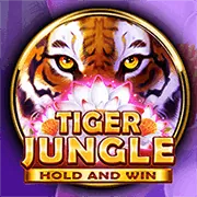 Biểu đồ minh họa quá trình thu thập thông tin cá nhân an toàn của win5501 code